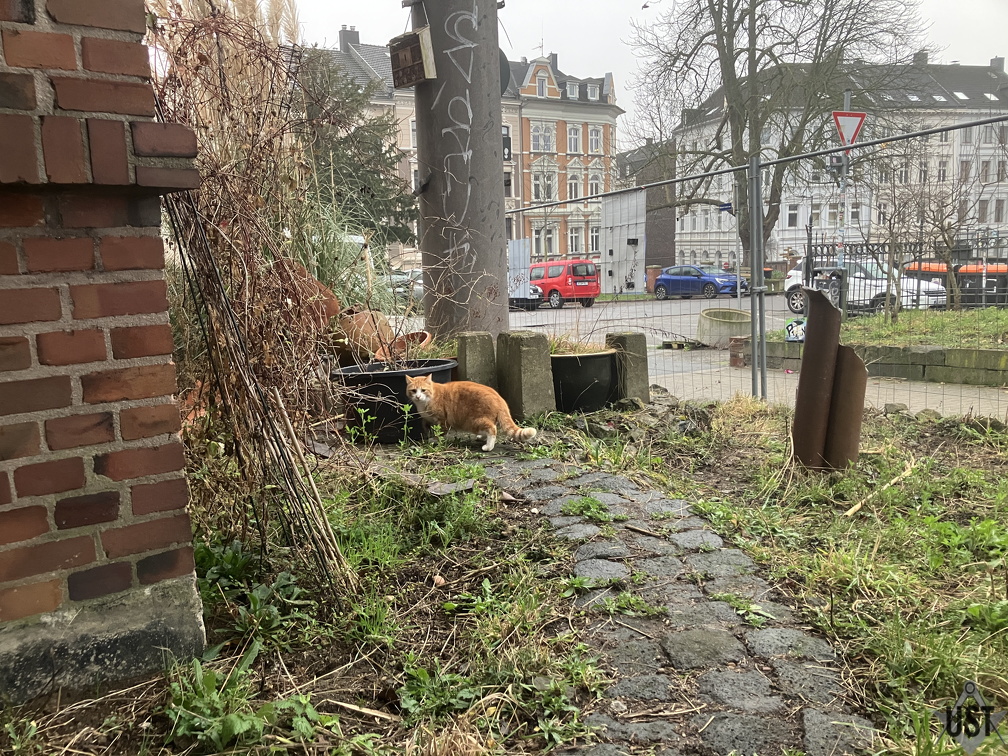 IMG 3134 (32 Besuche) Wir scheinen eine neue Baustellenaufsicht zu haben IMG 3134