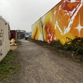 IMG_8970.jpeg