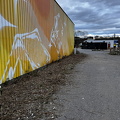 IMG_8998.jpeg