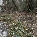 IMG_9001.jpeg