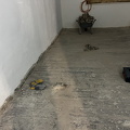 IMG_9002.jpeg