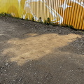 IMG_9195.jpeg