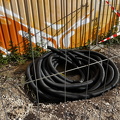 IMG_9250.jpeg