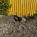 IMG_9252.jpeg