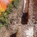 20260502_112713.jpg