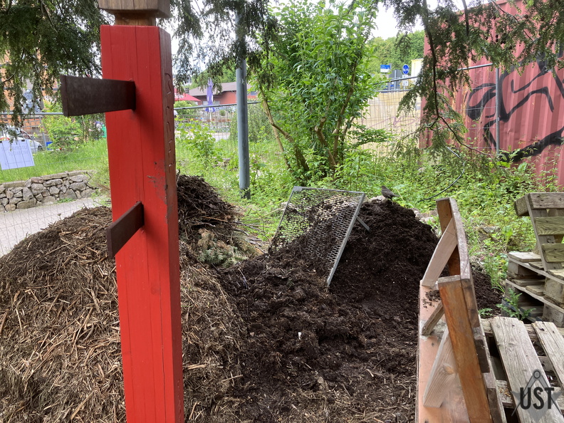 IMG 3660