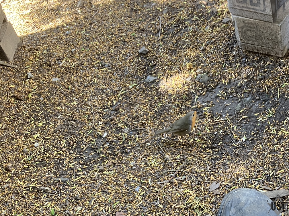 IMG 3655