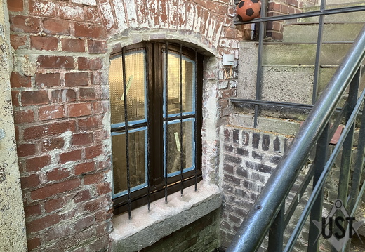 IMG 3767