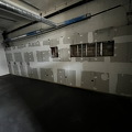 IMG_9502.jpeg