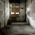 IMG_9550.jpeg