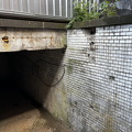 IMG 0110