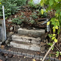 IMG 0215