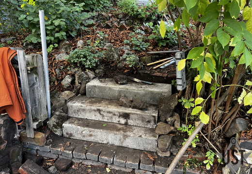 IMG 0215