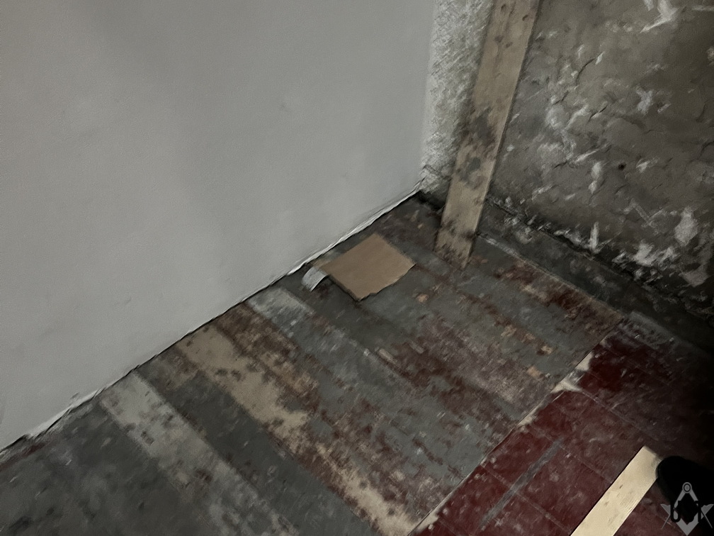 IMG 0219