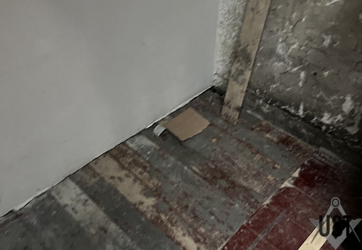 IMG 0219