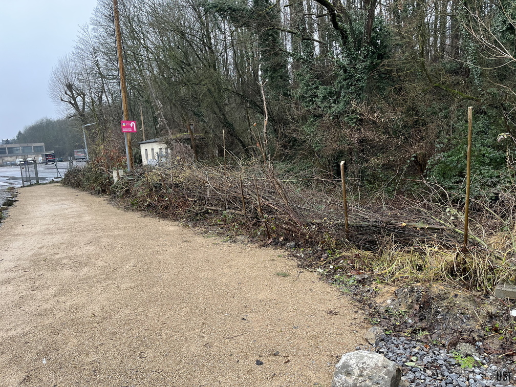 IMG 7066 (2802 Besuche) IMG 7066