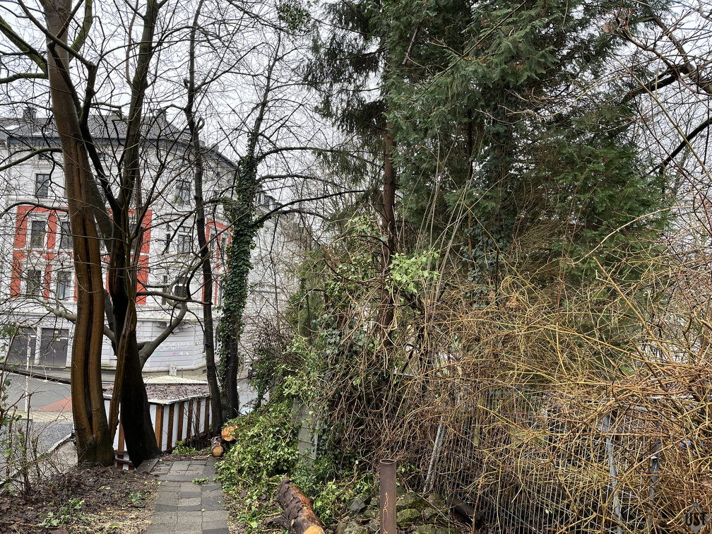 IMG 7067 (2742 Besuche) IMG 7067