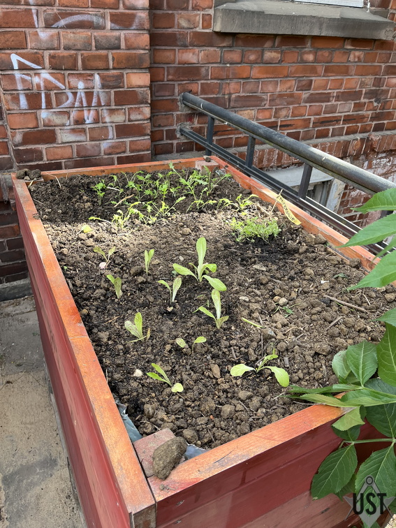 IMG 7660 (2269 Besuche) IMG 7660