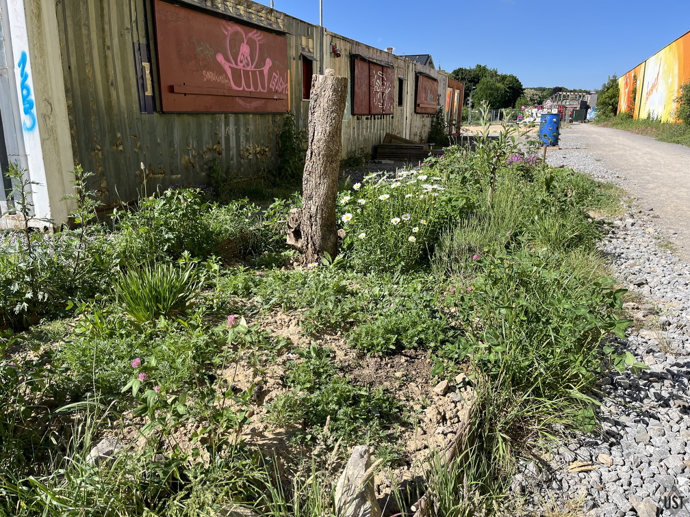 IMG 7668 (2188 Besuche) IMG 7668