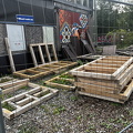 IMG_8295.jpeg