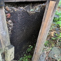 IMG 3653