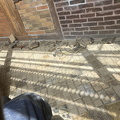 IMG 3713