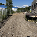 IMG 9451