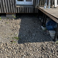 IMG 9454