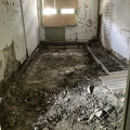 IMG 3929