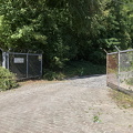 IMG 3941