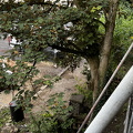 IMG 9848