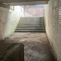 IMG 4147
