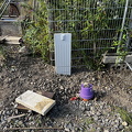 IMG 0046