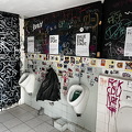 IMG 0116