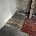 IMG_0197.jpeg