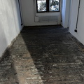 IMG 0254