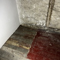 IMG 0256